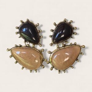 Zara Pear Resin Drop Earrings Trendy Jewelry